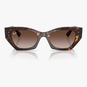 Ray-Ban Women's Tortoiseshell Cat Eye Sunglasses - Brown Gradient Lenses